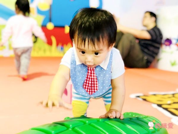 美國 Zoocchini 屁屁褲