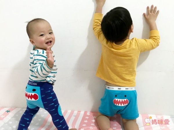 美國 ZOOCCHiNi 內褲