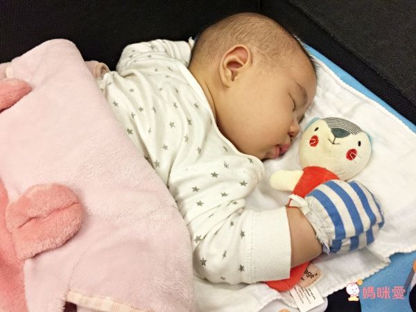 Petit collage 安撫娃娃