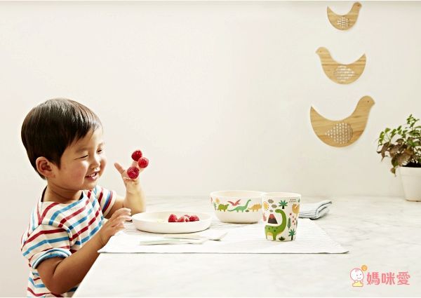 天然環保竹纖維餐具組