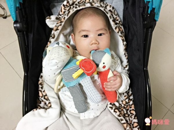 Petit collage 安撫娃娃