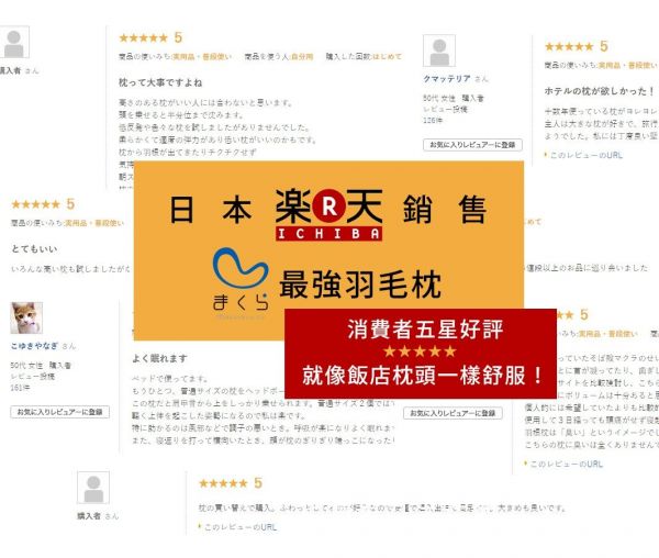 日本最暢銷 ♛ AS 快眠止鼾枕 / 羽毛枕 / 蕎麥枕 / 舒壓枕 / 太空枕