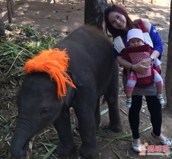 【韓國ORGA背巾】有機棉座墊式背巾 