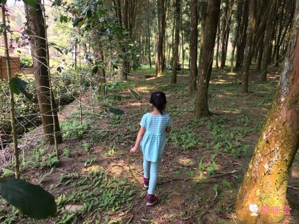 南投日月潭晶園休閒渡假村 ★一泊二食超值53折★