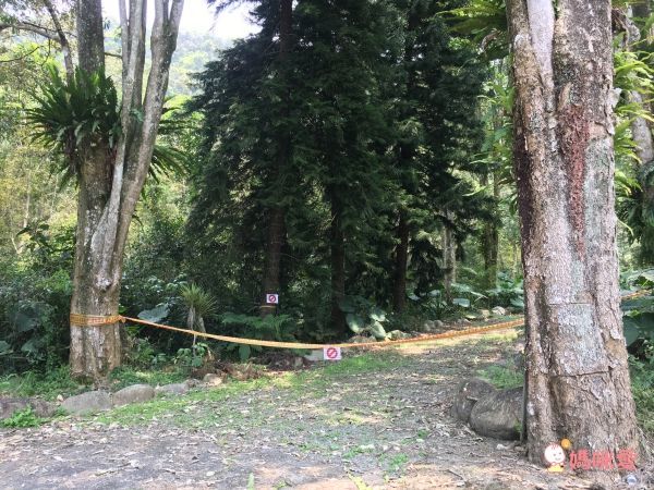 南投日月潭晶園休閒渡假村 ★一泊二食超值53折★