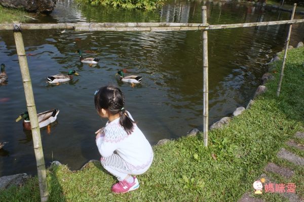 南投日月潭晶園休閒渡假村 ★一泊二食超值53折★