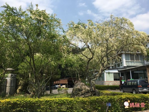 南投日月潭晶園休閒渡假村 ★一泊二食超值53折★