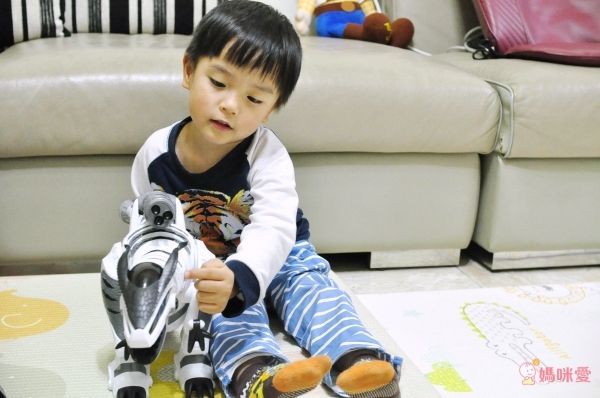 LE NENG TOYS - 多功能機械戰龍-對戰2入組