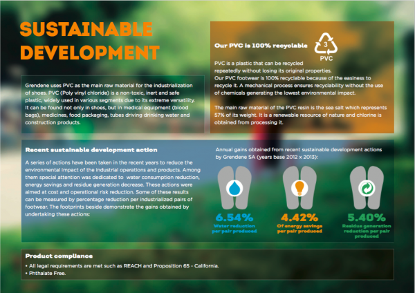 巴西 Ipanema 香香鞋