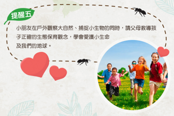 美國 Educational Insights - 小小探險家-昆蟲研究站