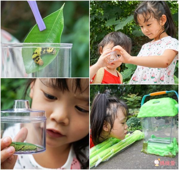 美國 Educational Insights - 小小探險家-昆蟲研究站