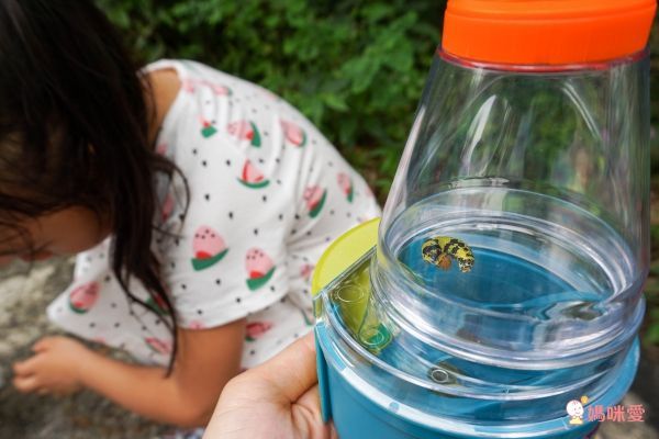 美國 Educational Insights - 小小探險家-昆蟲研究站