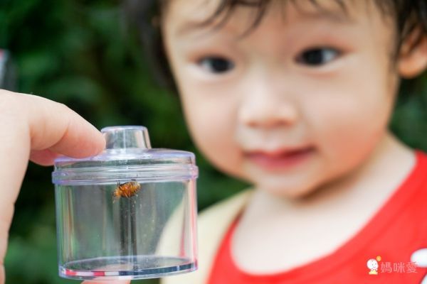 美國 Educational Insights - 小小探險家-昆蟲研究站