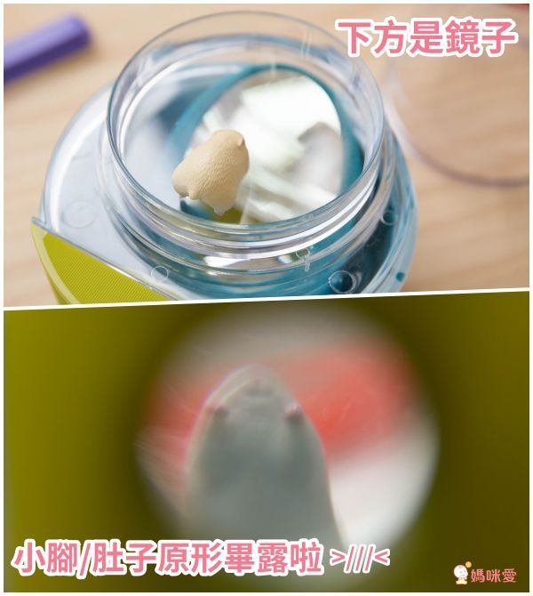 美國 Educational Insights - 小小探險家-昆蟲研究站