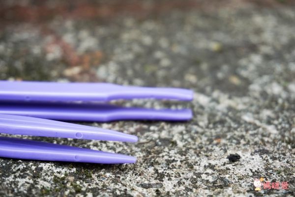 美國 Educational Insights - 小小探險家-昆蟲研究站