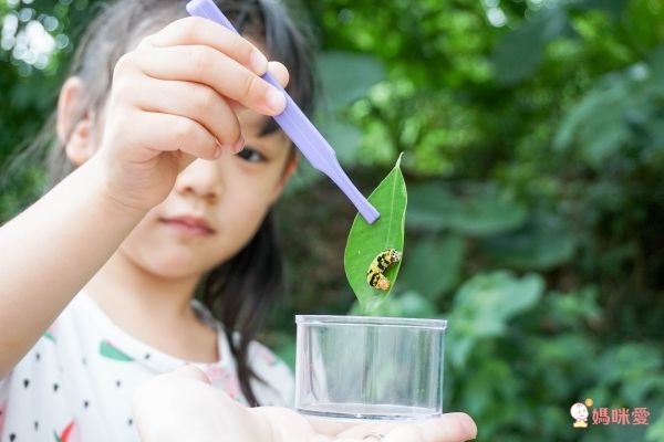 美國 Educational Insights - 小小探險家-昆蟲研究站