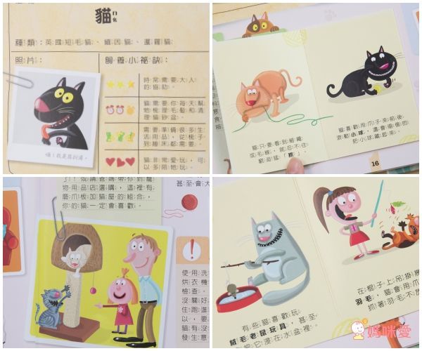 我的寵物好朋友 / 我的植物好朋友