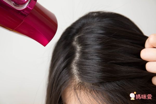 【日本TESCOM】白金奈米膠原蛋白吹風機 / 雙電壓負離子吹風機