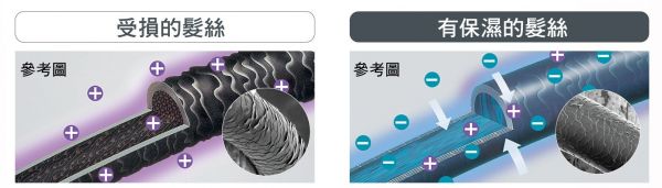 【日本TESCOM】白金奈米膠原蛋白吹風機 / 雙電壓負離子吹風機