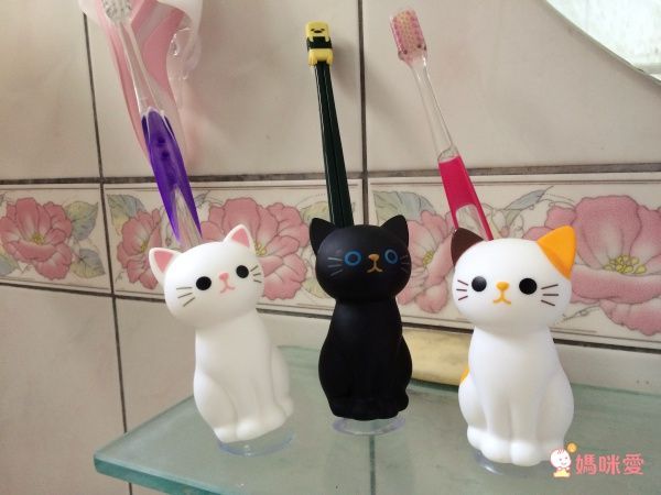貓咪牙刷架