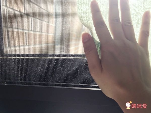 韓國 Daily Water 拋棄式菜瓜布