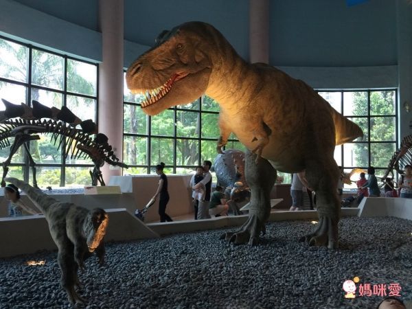 ★省很大專案★台中伊麗莎白酒店♔平價也有奢華歐風渡假感