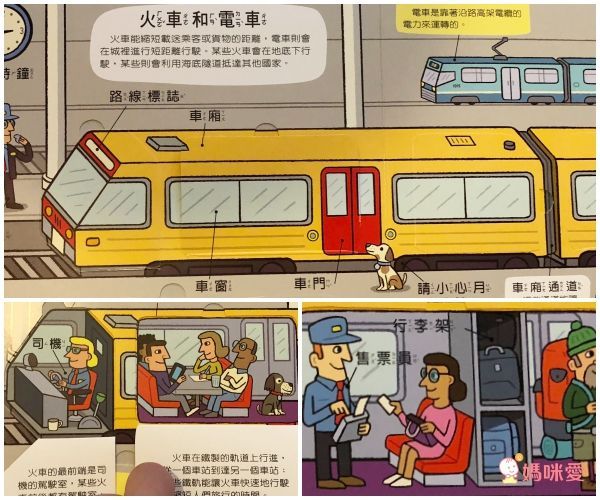 翻！身體-圖解百科翻翻書