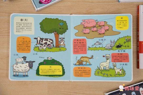 翻！身體-圖解百科翻翻書