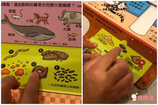 遊樂園大冒險：探索人體感官神經