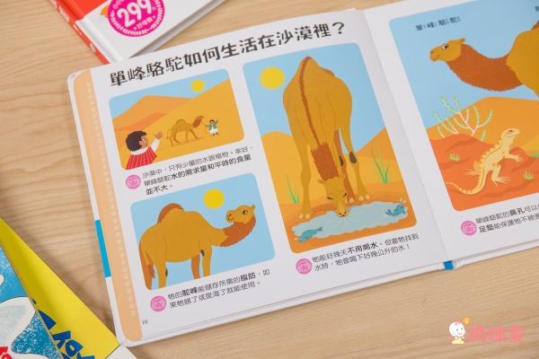 小小孩最愛問百科書-為什麼呢？
