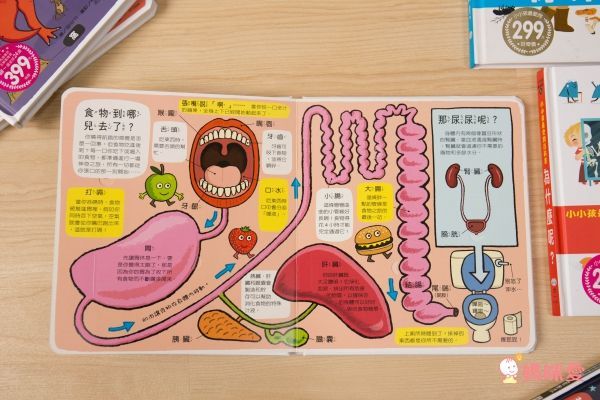 翻！身體-圖解百科翻翻書