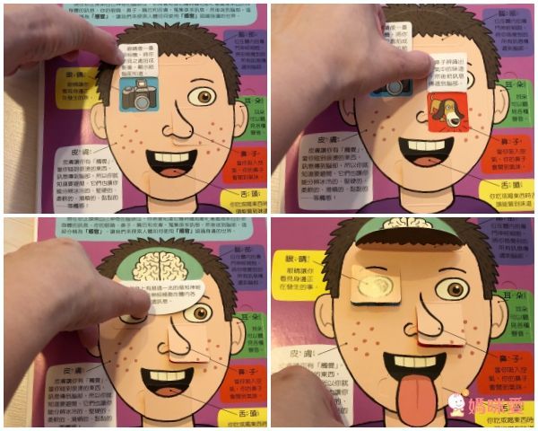 翻！身體-圖解百科翻翻書