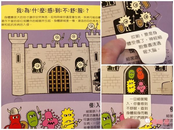 翻！身體-圖解百科翻翻書