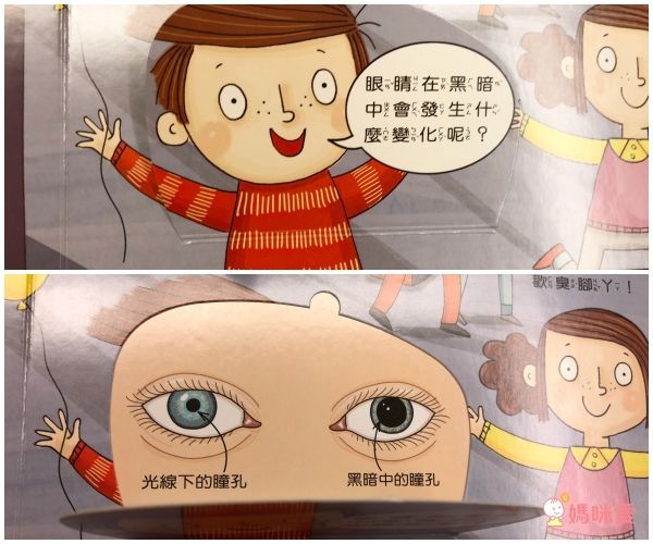 遊樂園大冒險：探索人體感官神經