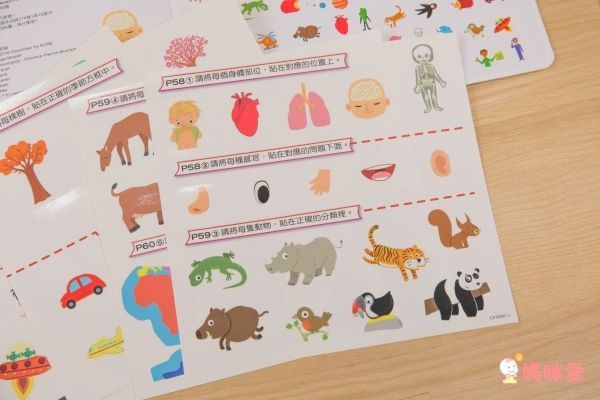 小小孩最愛問百科書-為什麼呢？