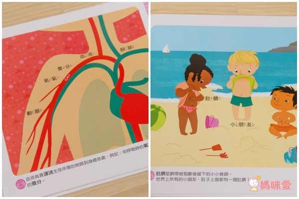 小小孩最愛問百科書-為什麼呢？