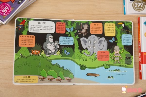 翻！身體-圖解百科翻翻書