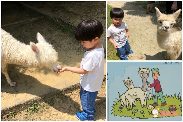 翻！身體-圖解百科翻翻書