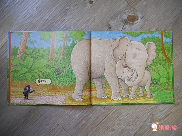 經典不敗幼幼互動書《小金魚逃走了》《好餓的毛毛蟲》《棕色的熊》