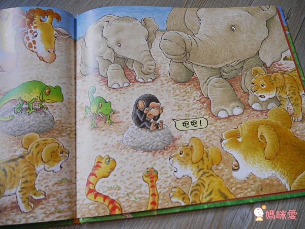 經典不敗幼幼互動書《小金魚逃走了》《好餓的毛毛蟲》《棕色的熊》