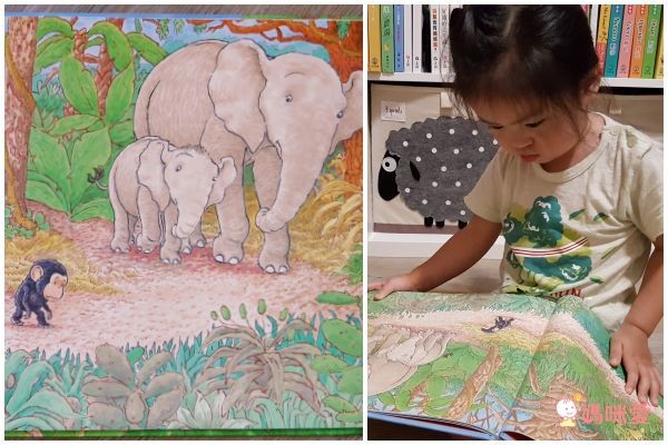 經典不敗幼幼互動書《小金魚逃走了》《好餓的毛毛蟲》《棕色的熊》