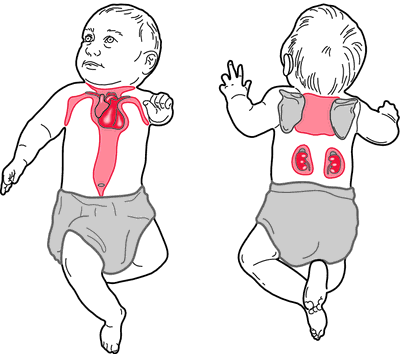 58折起!mamaway媽媽餵♥︎育兒背巾、推車汽座通用涼感坐墊