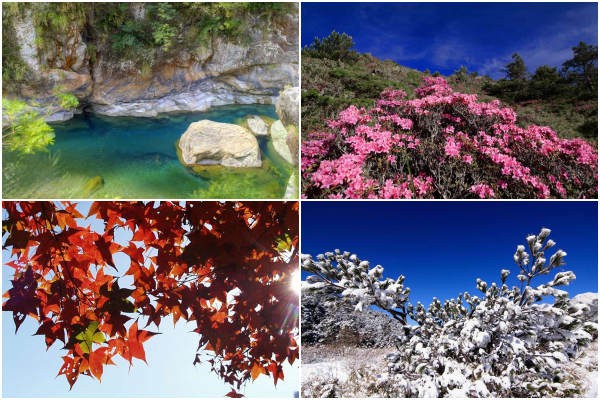 花蓮太魯閣晶英酒店 ＄ 觀光局秋冬補助雄獅再加碼