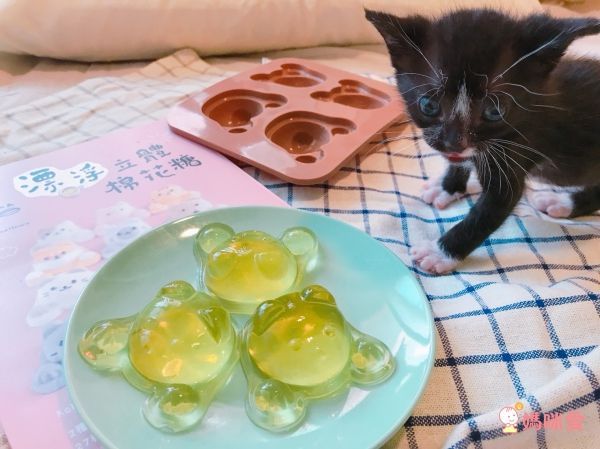 百變療癒♡料理食譜♡卡哇伊便當、麵包、造型餅乾、甜點自己做！不怕食安風暴！