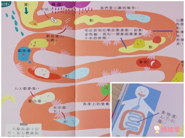 寶貝成長繪本-媽媽,我從哪裡來