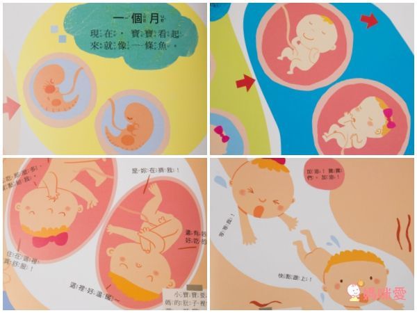 寶貝成長繪本-媽媽,我從哪裡來