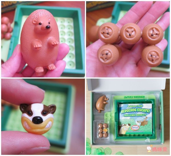 美國 POPULAR - 機靈小刺蝟