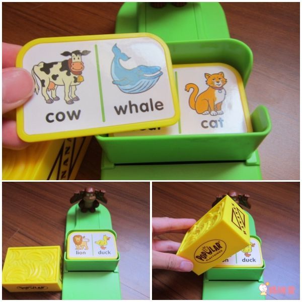 美國 POPULAR - 猴子賓果