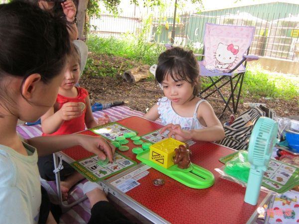 美國 POPULAR - 猴子賓果