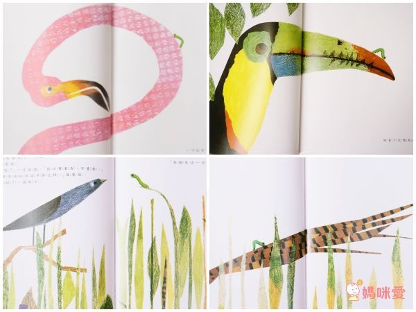 上誼文化聖誕禮物書7折起❤世界經典繪本套組☆穿越時空☆0～6歲各國大小朋友都愛讀！